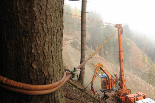 kabel vastgemaakt aan een boom